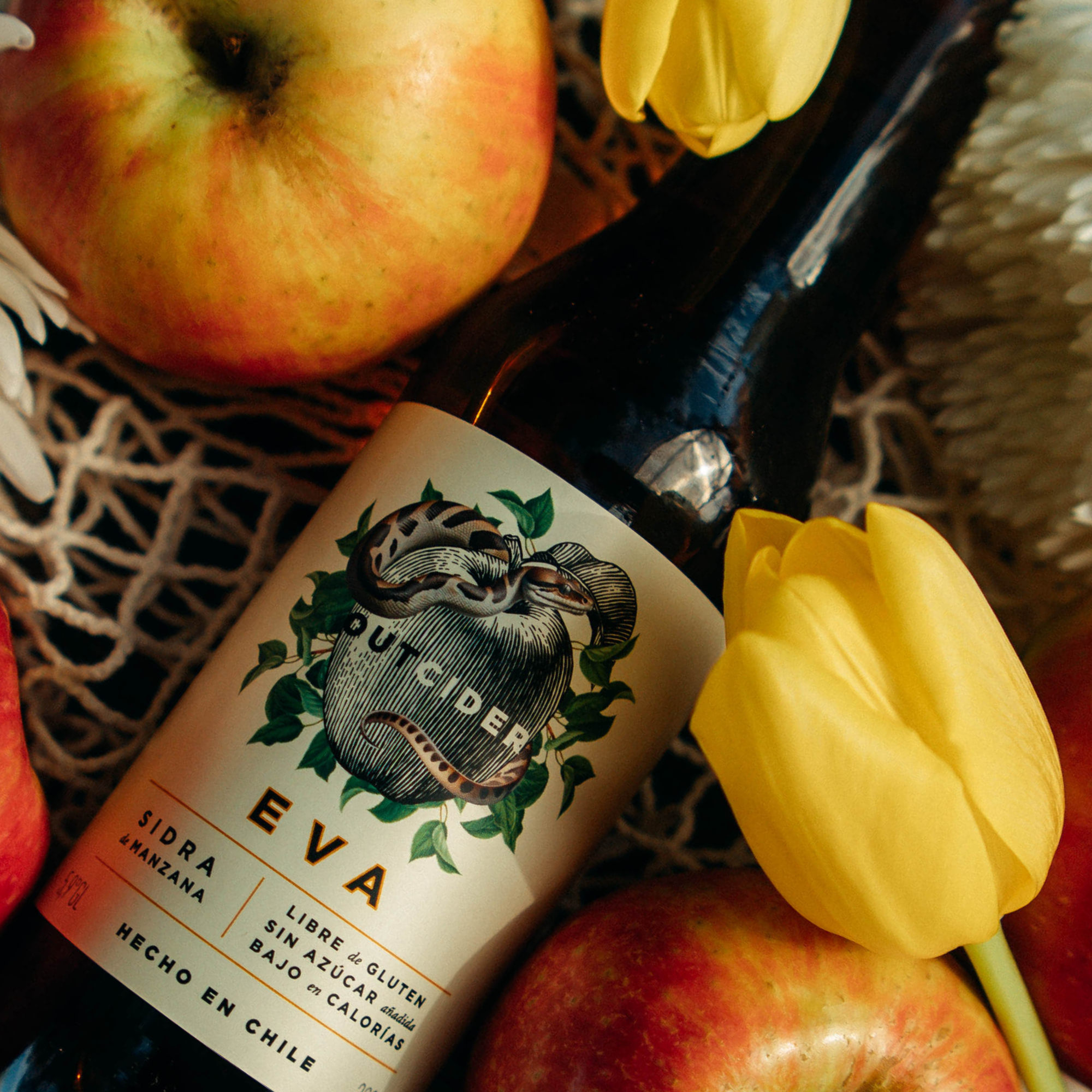 Sidra Eva, Pack de 8