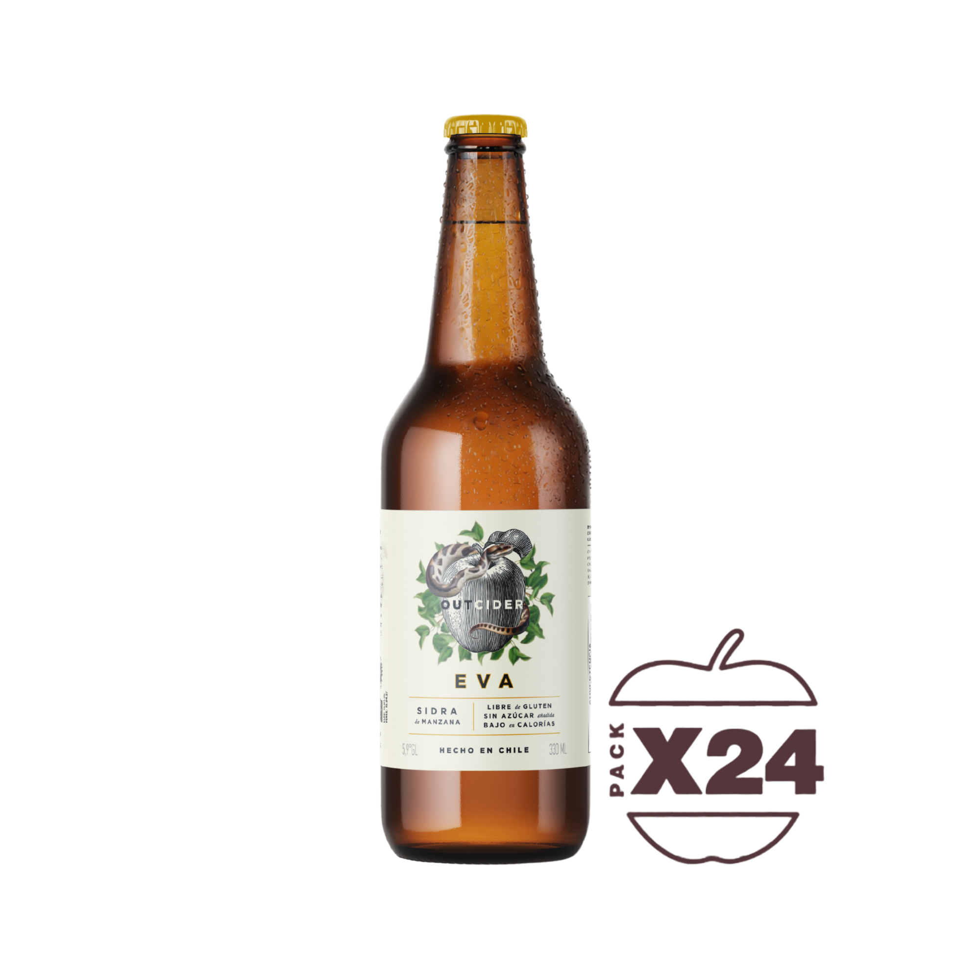 Sidra Eva, Caja de 24